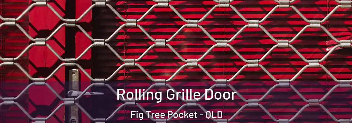 Rolling Grille Door Fig Tree Pocket - QLD