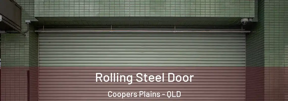 Rolling Steel Door Coopers Plains - QLD