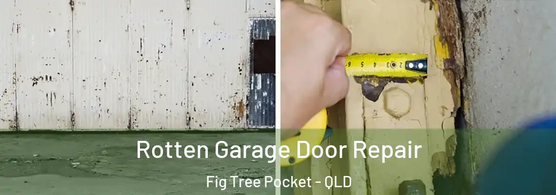 Rotten Garage Door Repair Fig Tree Pocket - QLD