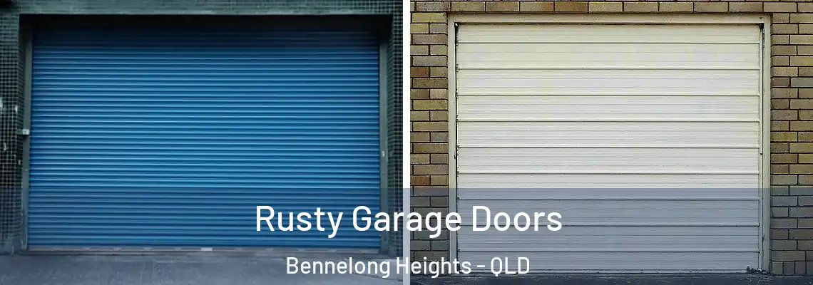  Rusty Garage Doors Bennelong Heights - QLD