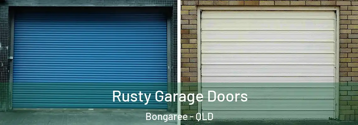 Rusty Garage Doors Bongaree - QLD
