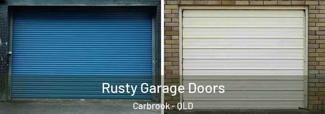 Rusty Garage Doors Carbrook - QLD