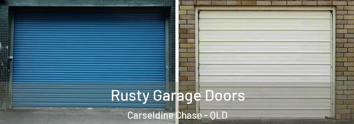 Rusty Garage Doors Carseldine Chase - QLD