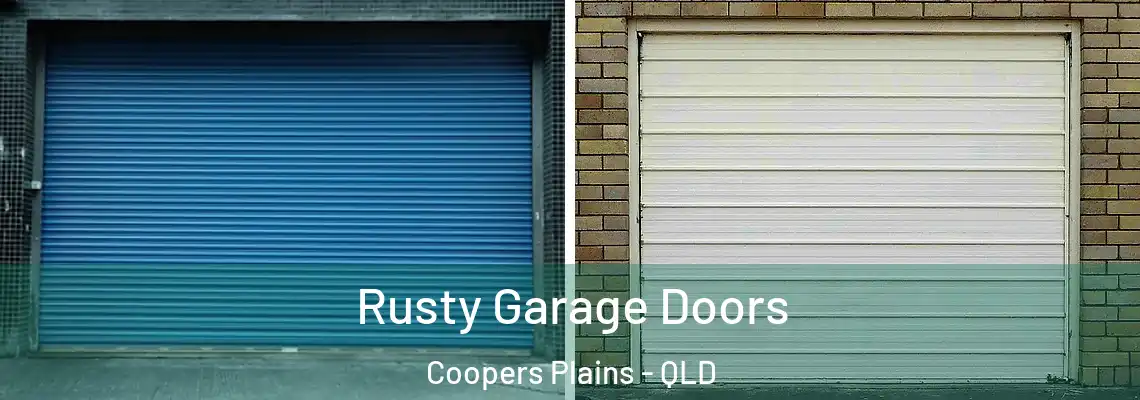 Rusty Garage Doors Coopers Plains - QLD