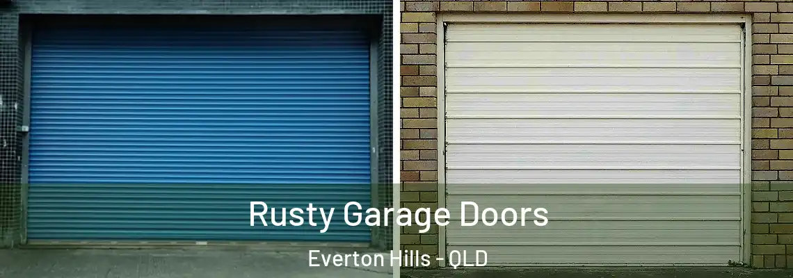 Rusty Garage Doors Everton Hills - QLD