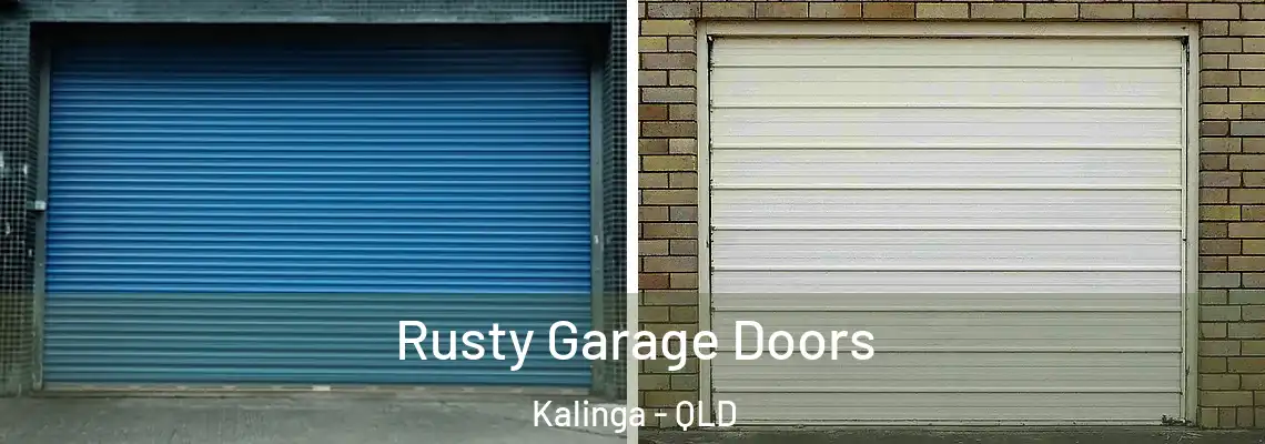 Rusty Garage Doors Kalinga - QLD