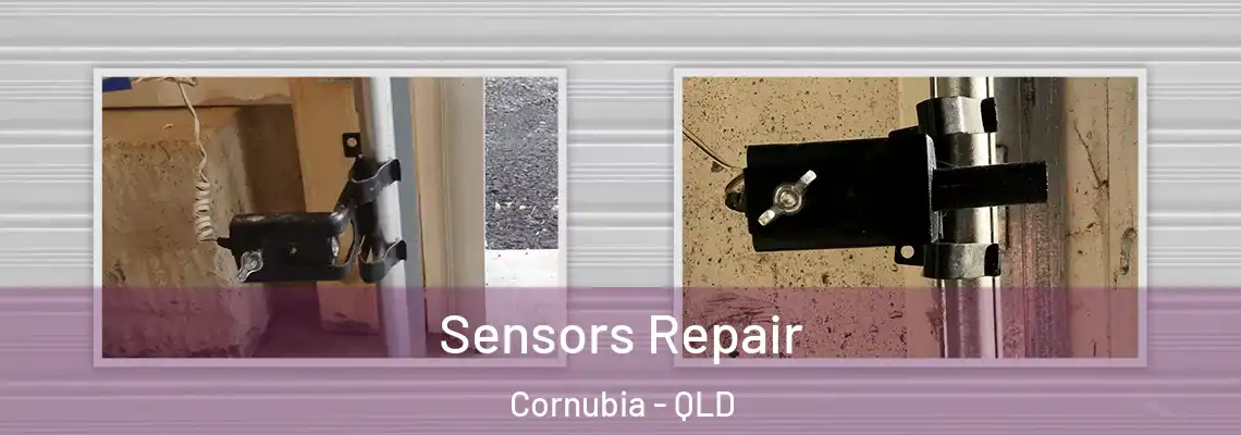 Sensors Repair Cornubia - QLD