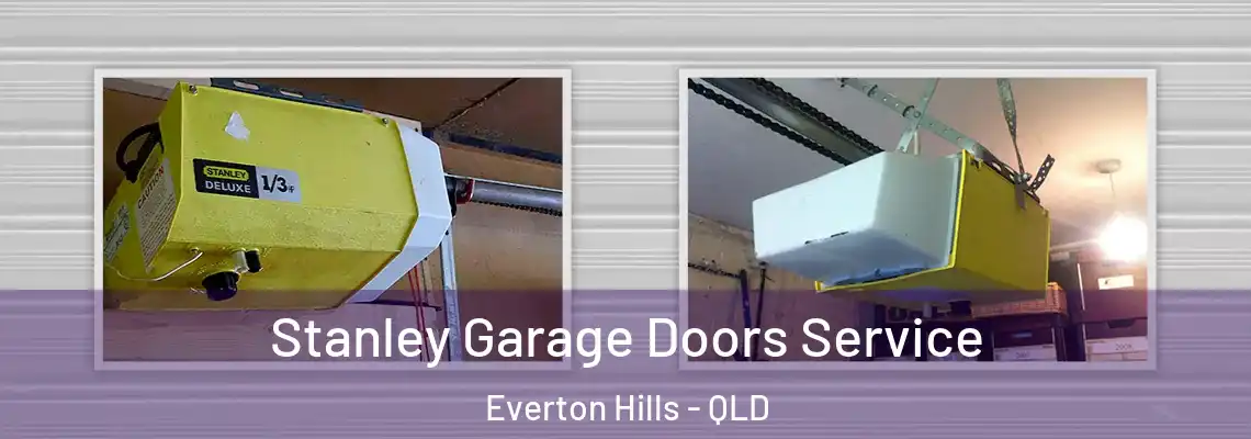Stanley Garage Doors Service Everton Hills - QLD